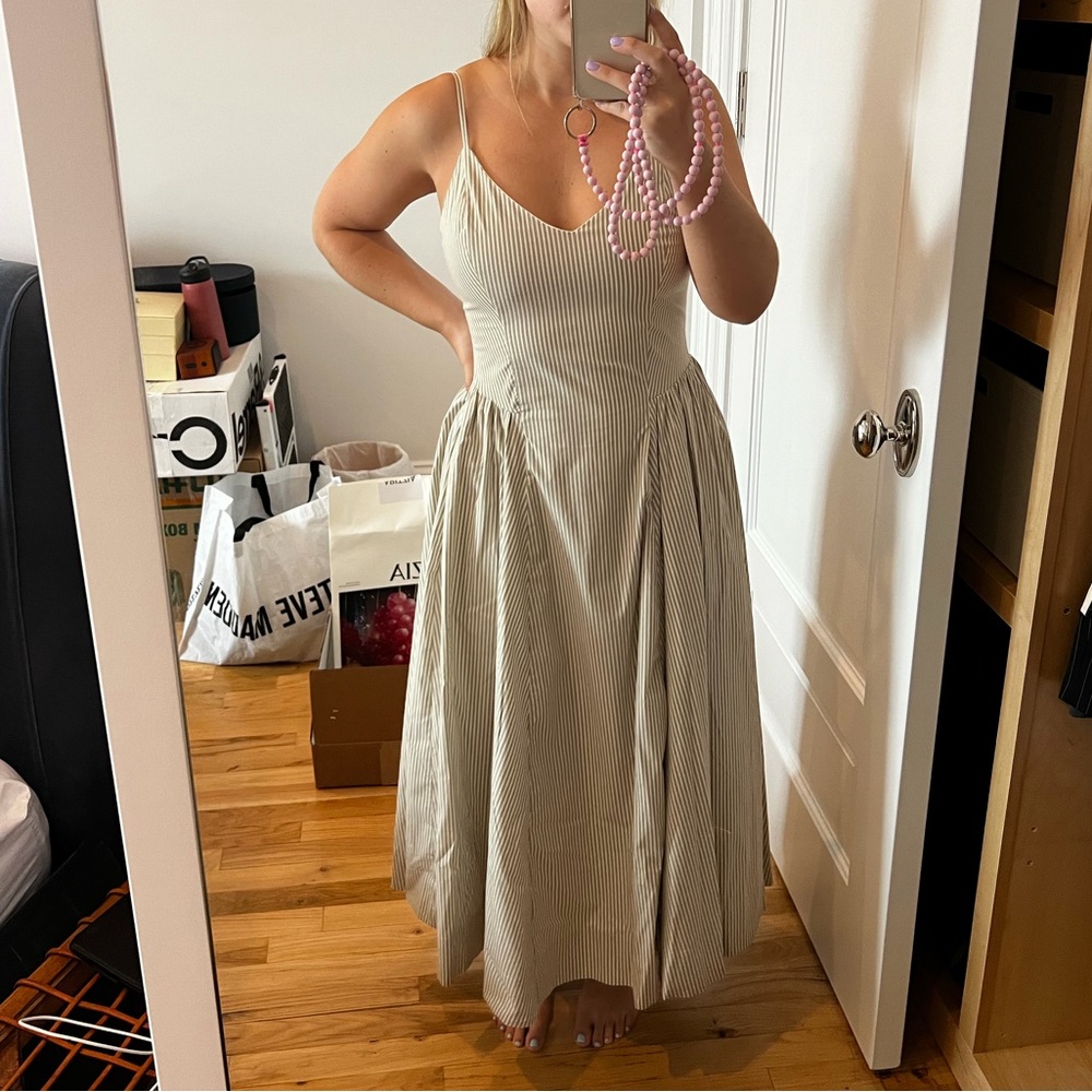 Aritzia Babaton Dress
